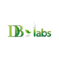 DB Labs image 3